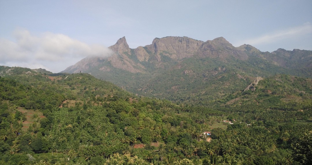 The forested hills of Kerala's Western Ghats, where Malayarayar settlements have historically been concentrated.