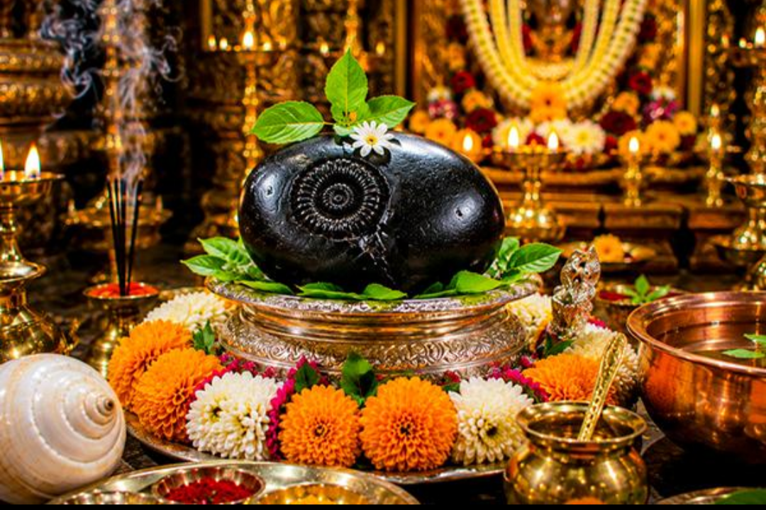 Shaligram and Tulsi — devotional objects found in many Vaishnava Brahmin households.