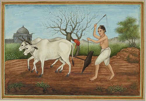 Early 19th century painting of a Jat farmer.