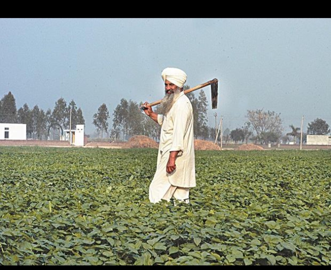 Agriculture and landholding became increasingly important to Lubana communities from the eighteenth and nineteenth centuries onward.