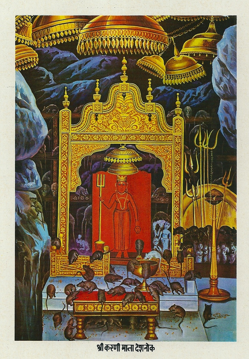 Karni Mata, Hindu Goddess primarily worshipped by Rajputs