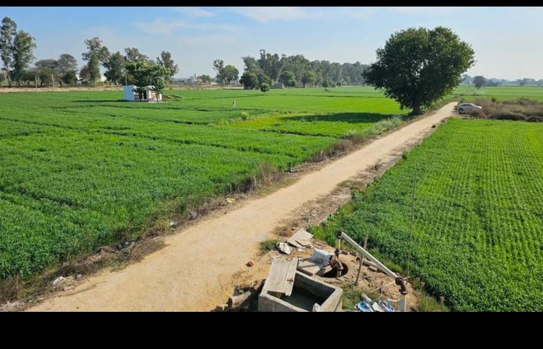 Haryana village & agricultural life