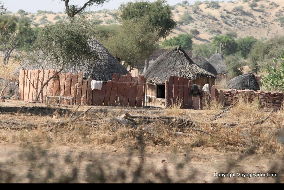 The landscape of northwestern Rajasthan associated with Poonia settlements.
