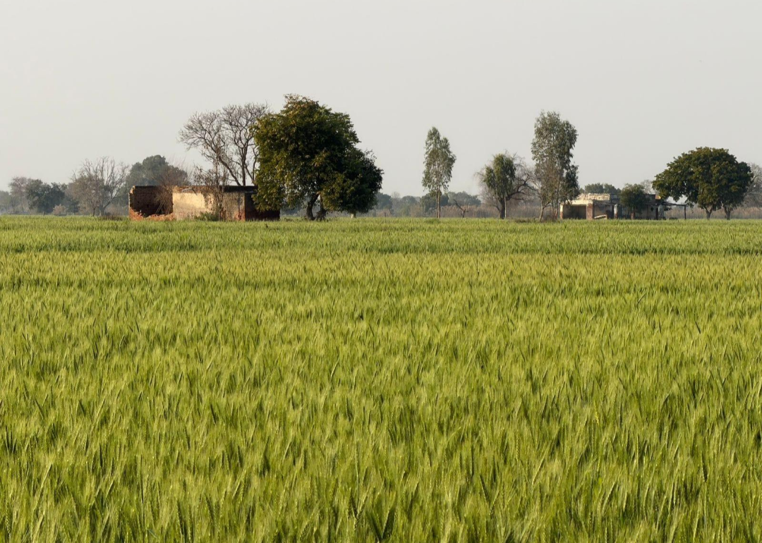 Haryana landscape / identity