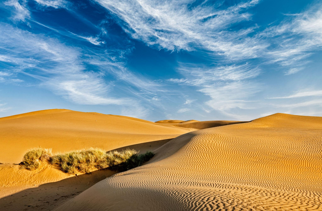 Rajasthan: a land of desert, hills and diverse landscapes.