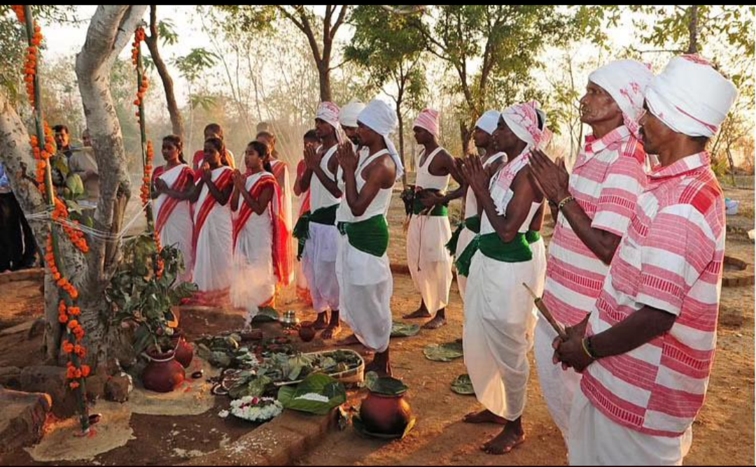 Sarhul — Nature, Sacred Sal Trees and Community