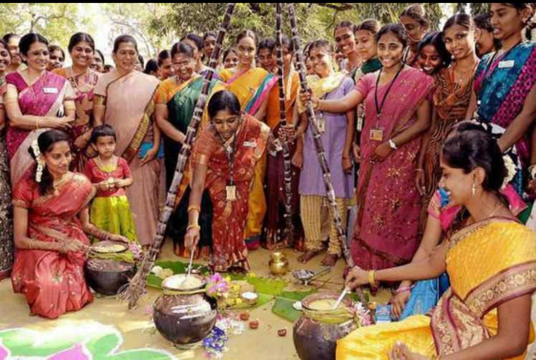 Pongal: Tamil Nadu's four-day harvest festival and an important expression of regional cultural identity.