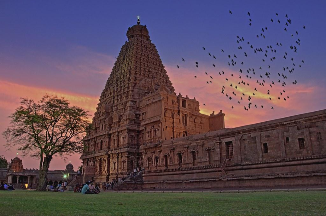 Tamil Nadu: a living regional culture shaped by language, history, temples, migration and deep population history.