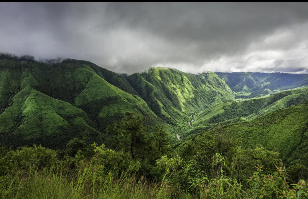 Meghalaya — The Abode of Clouds and Living Root Bridges