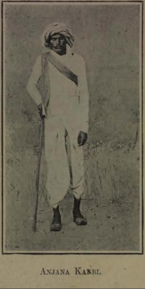 An Anjana Kanbi from Baroda State