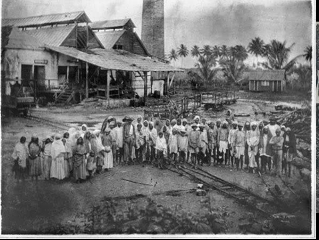 During the nineteenth and early twentieth centuries, migrants from Bihar and eastern Uttar Pradesh travelled overseas under the indenture system, forming communities across Mauritius, Fiji, the Caribbean and southern Africa.