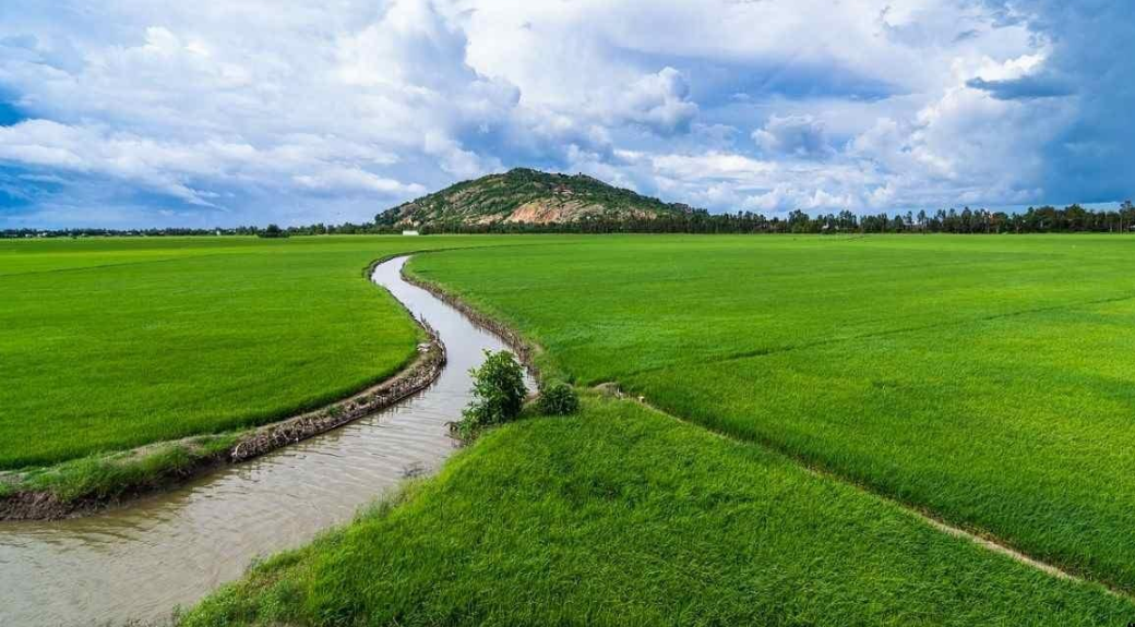 Canal irrigation and fertile alluvial soils supported the intensive cultivation for which the region's farming communities became known.