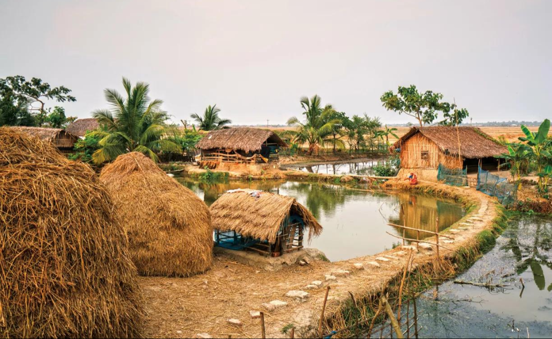 The riverine Bengal delta, the historic homeland of the Bhuimali community.
