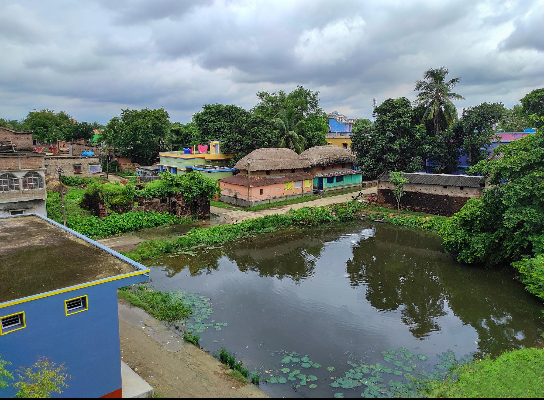Ponds, bamboo groves, fields and raised homesteads define the traditional landscape of rural Bengal