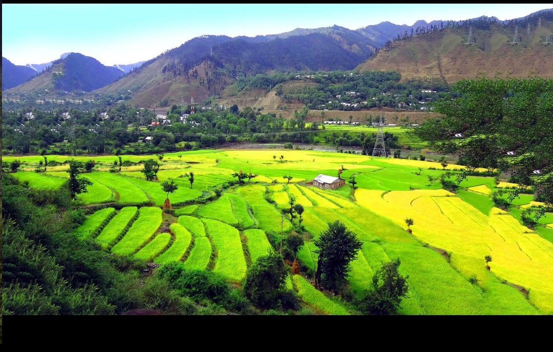 Terraced cultivation in the hills of Rajouri, reflecting the agricultural landscape historically associated with communities of the region.