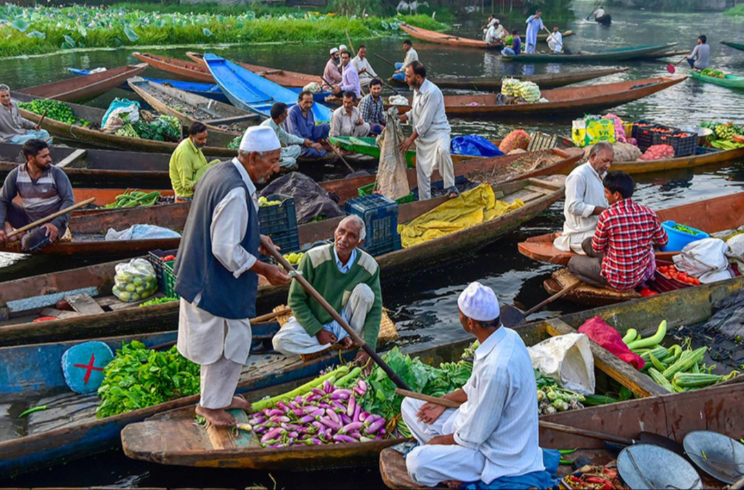 Dal Lake — shikaras, houseboats and floating gardens at the heart of Srinagar.