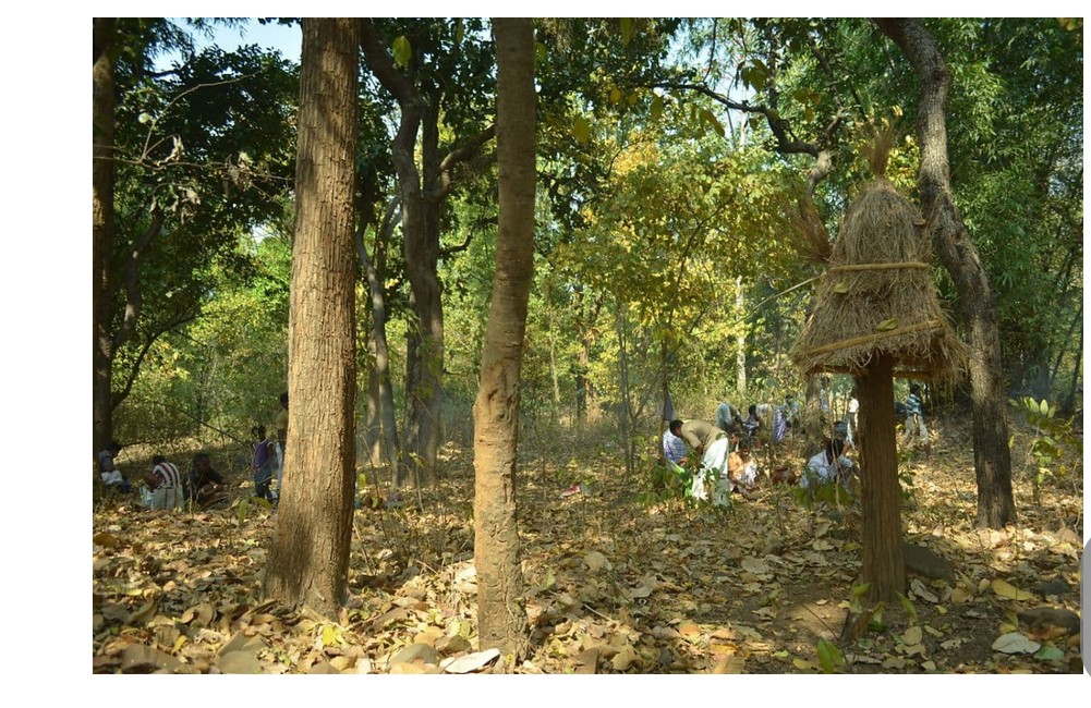 Jaher/Jaherthan — a sacred grove associated with Santal ritual life in many villages. Source: Adivasi Lives Matter.