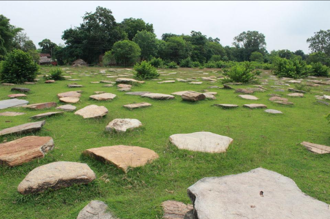 A Sarna, the sacred sal grove where the village pahan performs worship and community rituals